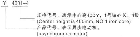 西安泰富西玛Y系列(H355-1000)高压YE2-90S-4三相异步电机型号说明